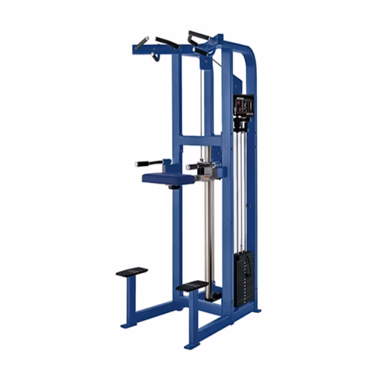 Shuyou Te 상업용 고품질 전문 강도 기계 트레이너 멀티